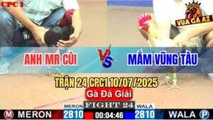 Trận 24 CPC1 10/7/2025 - Anh Mr Cùi Gặp Anh Mắm Vũng tàu