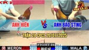 Trận 24 CPC2 20/7/2025 - Điều Cọp Bảo Sting Đâm Cựa Như Sam Sít