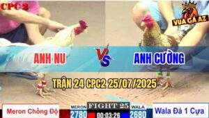 Trận 24 CPC2 25/7/2025 - Bướm Hiệu Bảo Sting Ngấm Đòn Lên 2 Thành Công