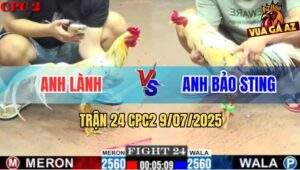Trận 24 CPC2 9/7/2025 - Bướm Anh Lành Đủ Điểm Hạ Bướm Hiệu Bảo Sting