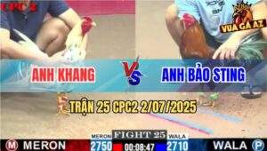 Trận 25 CPC2 2/7/2025 - Anh Bảo Sting Thả Trận Gà Quà Đẳng Cấp