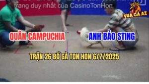 Trận 26 Bồ Ton Hon 6/7/2025 - Bướm Hiệu Bảo Sting Đá 2 Chân Lụm Xổ 200