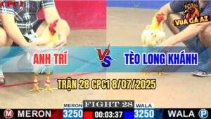 Trận 28 CPC1 8/7/2025 - Bướm Anh Tèo Thắng Tang Vô Trong Đứt Hơi Bỏ Đi