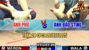 Trận 28 CPC2 20/7/2025 - Chuối Bảo Sting Bị Bướm Đâm Thở OXY Không Kịp