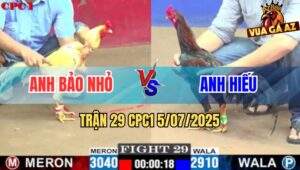 Trận 29 CPC1 5/7/2025 - Bướm Anh Bảo Nhỏ Trước Khi Tử Có Chân Cứu Chủ