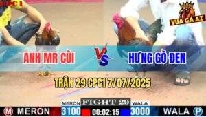 Trận 29 CPC1 7/7/2025 - Anh Mr Cùi Đi 3 Con Té Cặp Rưỡi