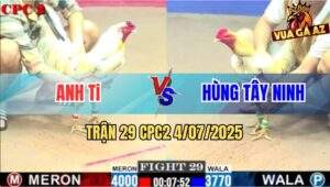 Trận 29 CPC2 4/7/2025 - Bướm Anh Ti Ngoại Hạng Mà Đá Như Gà Tre