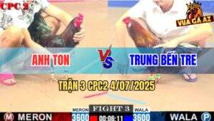 Trận 3 CPC2 4/7/2025 - Que Cọp Anh Ton Hạ Gà Điều Không Dính Miếng Bụi