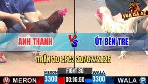 Trận 30 CPC3 30/7/2025 - Bướm Anh Út Bị Đá Lọt Bọng Cụp Đuôi Bỏ Chạy