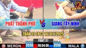 Trận 31 CPC3 16/7/2025 - Xám Chân Xanh Đâm Bướm Anh Giang Bể Hộp Số
