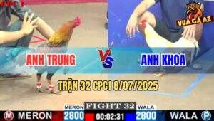 Trận 32 CPC1 8/7/2025 - Gà Điều Anh Trung Đâm Bướm Chạy Cò Cò La Miệng