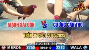 Trận 36 CPC1 7/7/2025 - Anh Mạnh Sài Gòn Và Anh Cương Cần Thơ