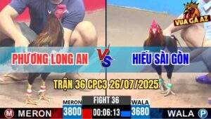 Trận 36 CPC3 26/7/2025 - Anh Phương Long An Và Anh Hiếu Sài Gòn