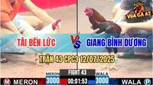 Trận 43 CPC3 12/7/2025 - Anh Tài Bến Lức Đụng Anh Giang Bình Dương
