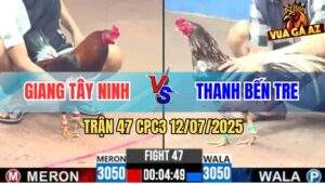 Trận 47 CPC3 12/7/2025 - Điều Anh Giang Tây Ninh Đá Bát 1 Có Kem