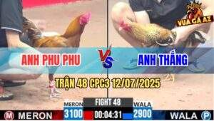 Trận 48 CPC3 12/7/2025 - Khét Cọp Phu Phu Nuốt Ói Đá Gà Cú Tốc Chạy