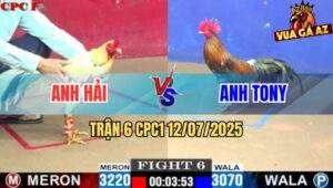 Trận 6 CPC1 12/7/2025 - Bướm Anh Hải Đâm Điều Anh Tony Chạy Kêu Miệng