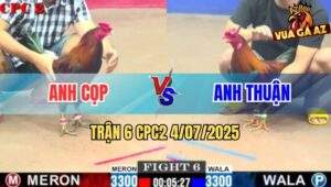 Trận 6 CPC2 4/7/2025 - Điều Xanh Anh Cọp Lì Đòn Tải Cựa Tới Phút 90