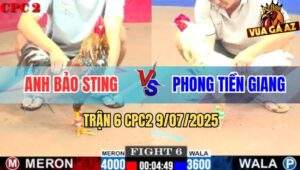 Trận 6 CPC2 9/7/2025 - Anh Bảo Sting Được Chấp Cân Bao Bồ Gần 2 Tỷ