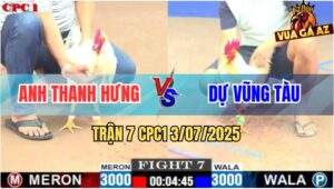 Trận 7 CPC1 3/7/2025 - Gà Bướm Anh Thanh Hưng Đâm Không Rớt Chân
