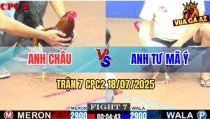 Trận 7 CPC2 18/7/2025 - Điều Anh Châu Đá Bướm Anh Tư Mã Ý Chạy Chết