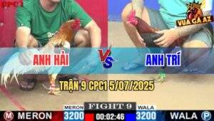 Trận 9 CPC1 5/7/2025 - Gà Tây Bán Nhà Đưa Anh Em Đi Xa Sau 1 Tay Nước