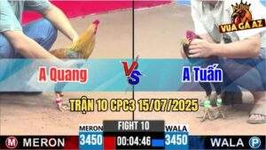 Trận 10 CPC3 15/07/2025 - Gà Điều Anh Tuấn Đâm Toàn Cựa Nghiệt