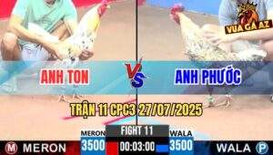 Trận 11 CPC3 27/7/2025 - Gà Anh Phước Đâm Bướm Chết Không Kịp Làm Gì