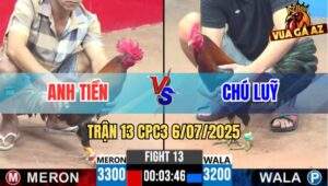 Trận 13 CPC3 6/7/2025 - Gà Anh Tiền Đá Quá Đẳng Cấp Hạ Gọn Gà Chú Luỹ