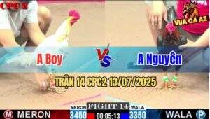 Trận 14 CPC2 13/7/2025 - Gà Anh Nguyên Đá Nạp Siết Quá Tốc Độ