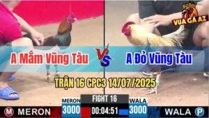 Trận 16 CPC3 14/07/2025 - Anh Mắm Vũng Tàu Vs Anh Đỏ Vũng Tàu