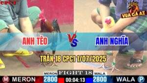Trận 18 CPC1 1/7/2025 - Gà Úa Anh Nghĩa Đá Gà Phèn Không Kịp Thở