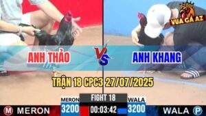 Trận 18 CPC3 27/7/2025 - Gà Que Anh Khang Nạp 1 Chân Hạ Gọn Bông