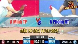 Trận 20 CPC3 14/07/2025 - Anh Minh Thành Phố Vs Anh Phong Vũng Tàu