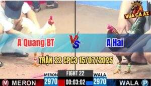 Trận 22 CPC3 15/07/2025 - Anh Quang Bến Tre Vs Anh Hai