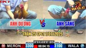 Trận 25 CPC1 1/7/2025 - Anh Dương Vs Anh Sang Sài Gòn