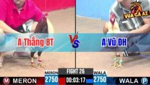 Trận 26 CPC3 15/07/2025 - Anh Thắng Bến Tre Vs Anh Vũ Đức Hòa