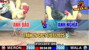 Trận 26 CPC1 1/7/2025 - Anh Bảo Vs Anh Nghĩa
