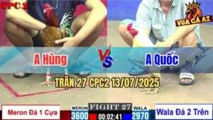 Trận 27 CPC2 13/7/2025 - Anh Hùng Đá 1 Cựa, Anh Quốc 2 Cây Cựa Trên