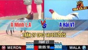 Trận 27 CPC3 14/07/2025 - Anh Minh Long An Vs Anh Hải Vũng Tàu