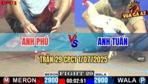 Trận 29 CPC1 1/7/2025 - Anh Phú Vs Anh Tuấn Hóc Môn