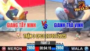 Trận 3 CPC3 27/7/2025 - Khét Chân Vàng Đâm Cựa Quá Tịch Hạ Điều Bông