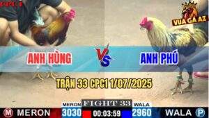 Trận 33 CPC1 1/7/2025 - Anh Hùng Long An Vs Anh Phú