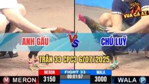 Trận 33 CPC3 6/7/2025 - Anh Gấu Vs Chú Luỹ