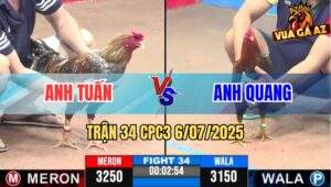 Trận 34 CPC3 6/7/2025 - Anh Tuấn Vs Anh Quang Vũng Tàu