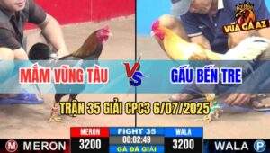 Trận 35 Giải CPC3 6/7/2025 - Mắm Vũng Tàu Vs Gấu Bến Tre