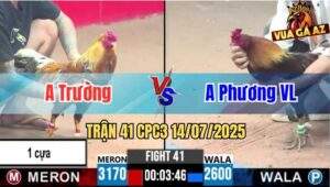 Trận 41 CPC3 14/07/2025 - Anh Trường Vs Anh Phương Vĩnh Long