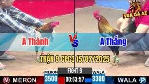 Trận 9 CPC3 15/07/2025 - Anh Thành Đụng Độ Với Anh Thắng