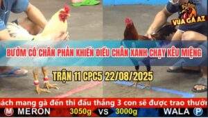 Trận 11 CPC5 22/8/2025 - Màu Bướm Hôm Nay Quá May Độ