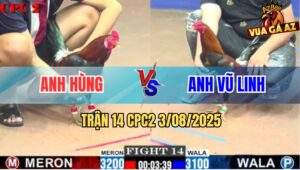 Trận 14 CPC2 3/8/2025 - Điều Cọp Anh Hùng Đá Đối Thủ Đi Như Say Rượu